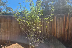 2145 Fishermans Rd, Overgaard, AZ 85933 - Photo 25