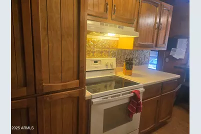2145 Fishermans Road, Overgaard, AZ 85933 - Photo 11