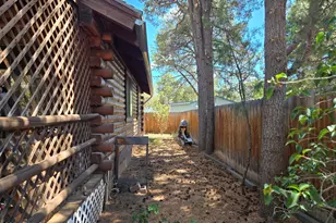 2145 Fishermans Rd, Overgaard, AZ 85933 - Photo 7