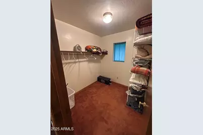 3 County Road N1029 --, Greer, AZ 85927 - Photo 31