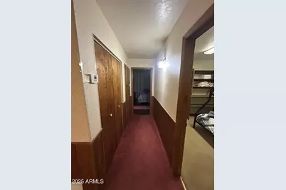 3 County Road N1029 --, Greer, AZ 85927 - Photo 47