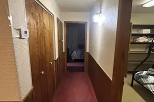 3 County Road N1029 --, Greer, AZ 85927 - Photo 47