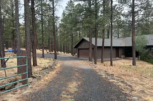 3 County Road N1029 --, Greer, AZ 85927 - Photo 63