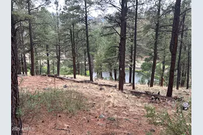 3 County Road N1029 --, Greer, AZ 85927 - Photo 3