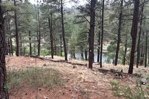 3 County Road N1029 --, Greer, AZ 85927 - Photo 3