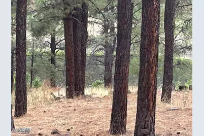 3 County Road N1029 --, Greer, AZ 85927 - Photo 53