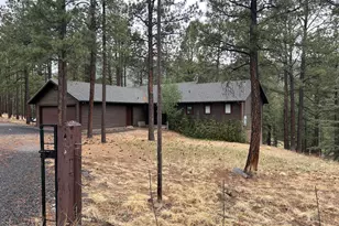 3 County Road N1029 --, Greer, AZ 85927 - Photo 9