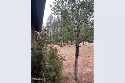 3 County Road N1029 --, Greer, AZ 85927 - Photo 23