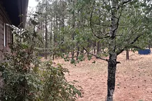 3 County Road N1029 --, Greer, AZ 85927 - Photo 23