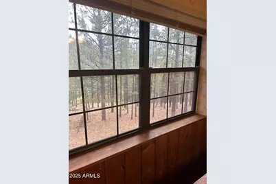 3 County Road N1029 --, Greer, AZ 85927 - Photo 29