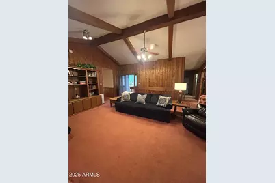 3 County Road N1029 --, Greer, AZ 85927 - Photo 19