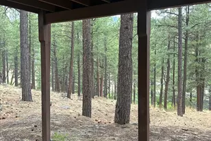 3 County Road N1029 --, Greer, AZ 85927 - Photo 51