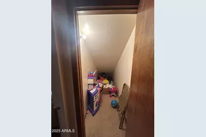 3 County Road N1029 --, Greer, AZ 85927 - Photo 43