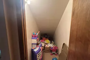 3 County Road N1029 --, Greer, AZ 85927 - Photo 43