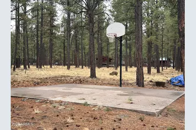 3 County Road N1029 --, Greer, AZ 85927 - Photo 65