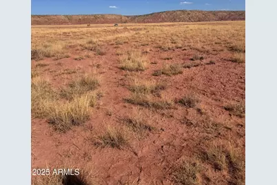 455 Sierra Highlands -- #455, Saint Johns, AZ 85936 - Photo 5