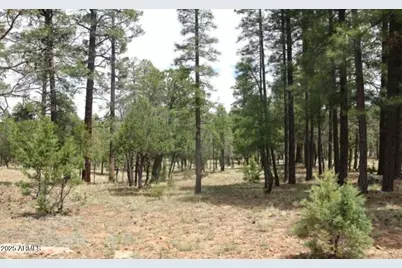 2869 Roundup Lane #252, Happy Jack, AZ 86024 - Photo 3