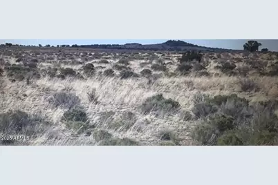 6232 S Prairie Grass Lane #294, Williams, AZ 86046 - Photo 9