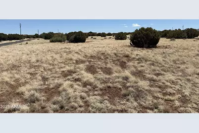 8481 Alpine Place #34, Show Low, AZ 85901 - Photo 1