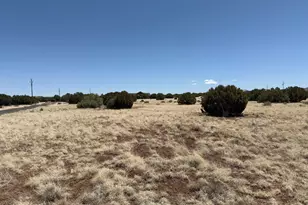 8481 Alpine Pl, Show Low, AZ 85901 - Photo 1