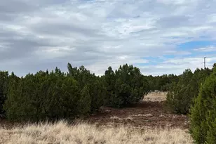 8766 Clark Rd, Show Low, AZ 85901 - Photo 1