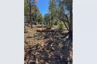 2333 Elk Ridge Lane #004H, Overgaard, AZ 85933 - Photo 11