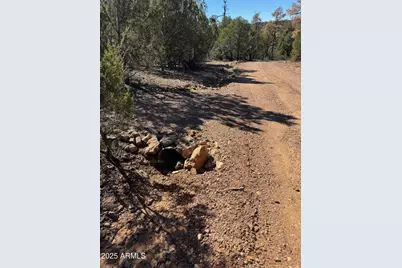 2333 Elk Ridge Lane #004H, Overgaard, AZ 85933 - Photo 13