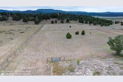 41451 Hwy 180 --, Nutrioso, AZ 85932 - Photo 39