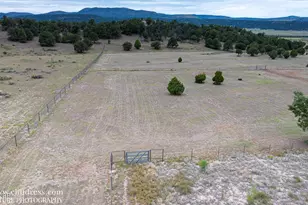 41451 Hwy 180 --, Nutrioso, AZ 85932 - Photo 39