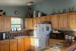 41451 Hwy 180 --, Nutrioso, AZ 85932 - Photo 25