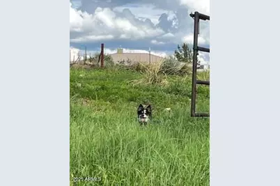 26 Colt Trail, Sonoita, AZ 85637 - Photo 97