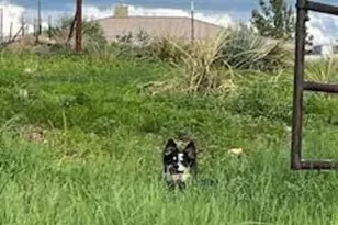 26 Colt Trail, Sonoita, AZ 85637 - Photo 97