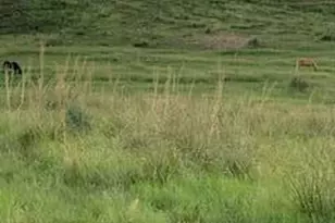 26&36 Colt Trail, Sonoita, AZ 85637 - Photo 31