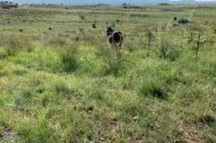 26 Colt Trail, Sonoita, AZ 85637 - Photo 63