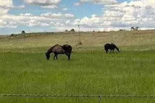 26&36 Colt Trail, Sonoita, AZ 85637 - Photo 29