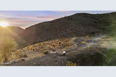 1682 E Desert Willow Drive #4, Phoenix, AZ 85048 - Photo 5