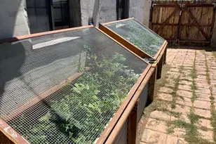 25365 W Fresnal Wash Wy, Willcox, AZ 85643 - Photo 11