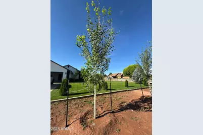 775 N Apple Blossom Lane, Snowflake, AZ 85937 - Photo 39