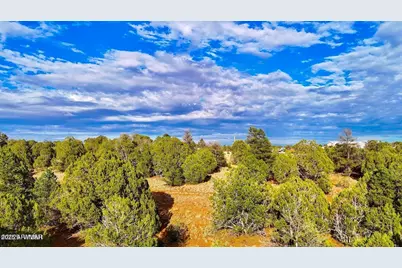 Tbd Flake Rd Lots L & P 2.54 Acres -- #-, Aripine, AZ 85933 - Photo 15