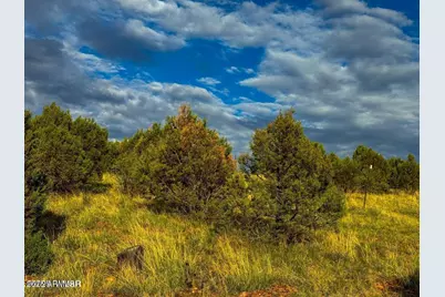 Tbd Flake Rd Lots L & P 2.54 Acres -- #-, Aripine, AZ 85933 - Photo 27