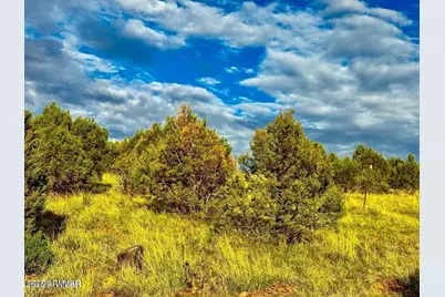 Tbd Flake Rd Lots L & P 2.54 Acres -- #-, Aripine, AZ 85933 - Photo 11