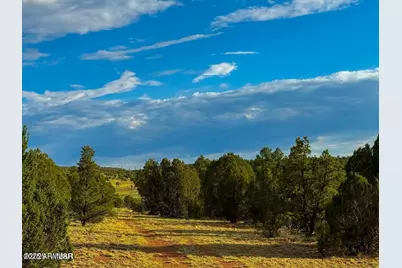 Tbd Flake Rd Lots L & P 2.54 Acres -- #-, Aripine, AZ 85933 - Photo 25