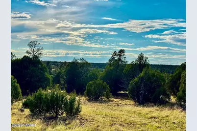 Tbd Flake Rd Lots L & P 2.54 Acres -- #-, Aripine, AZ 85933 - Photo 3
