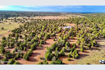 Tbd Flake Rd Lots L & P 2.54 Acres -- #-, Aripine, AZ 85933 - Photo 5