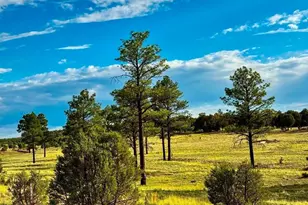 Tbd Flake Rd Lots L & P 2 54 Acres --, Aripine, AZ 85933 - Photo 1