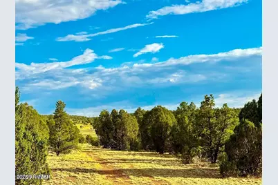 Tbd Flake Rd Lots L & P 2.54 Acres -- #-, Aripine, AZ 85933 - Photo 9