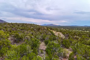 132 E Sidewinder Rd, Williams, AZ 86046 - Photo 1