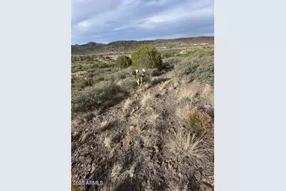 15580 E Rough Rider Ridge #14, Mayer, AZ 86333 - Photo 11