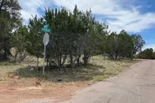 3405 Buckhorn Bend, Overgaard, AZ 85933 - Photo 1