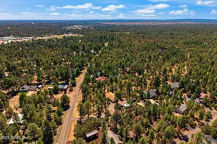 2884 Pine Rim Rd, Overgaard, AZ 85933 - Photo 79